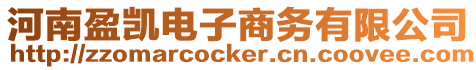河南盈凱電子商務有限公司