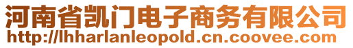 河南省凱門電子商務(wù)有限公司