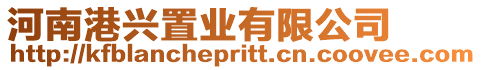河南港興置業(yè)有限公司