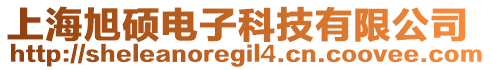 上海旭碩電子科技有限公司