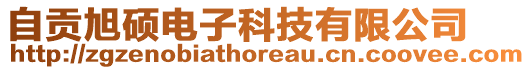 自貢旭碩電子科技有限公司