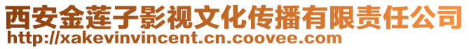 西安金蓮子影視文化傳播有限責(zé)任公司