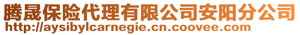 騰晟保險代理有限公司安陽分公司