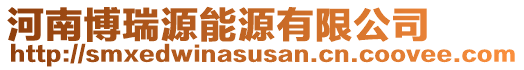 河南博瑞源能源有限公司