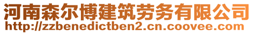 河南森爾博建筑勞務(wù)有限公司