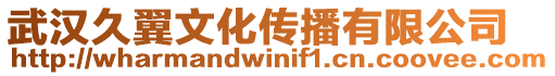 武漢久翼文化傳播有限公司