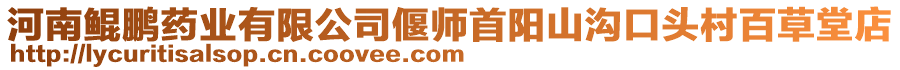 河南鯤鵬藥業有限公司偃師首陽山溝口頭村百草堂店