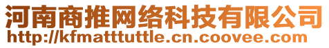 河南商推網(wǎng)絡(luò)科技有限公司