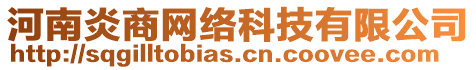 河南炎商網(wǎng)絡(luò)科技有限公司