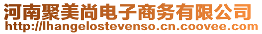 河南聚美尚電子商務有限公司