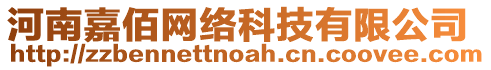 河南嘉佰網(wǎng)絡科技有限公司