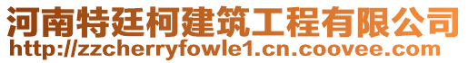 河南特廷柯建筑工程有限公司