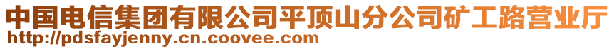 中國電信集團有限公司平頂山分公司礦工路營業(yè)廳