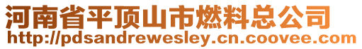 河南省平頂山市燃料總公司