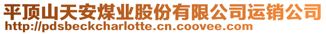 平頂山天安煤業(yè)股份有限公司運(yùn)銷公司