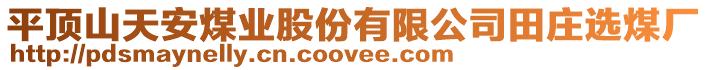 平頂山天安煤業(yè)股份有限公司田莊選煤廠