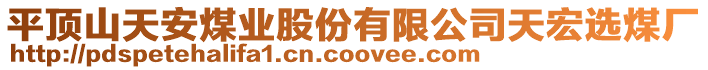 平頂山天安煤業(yè)股份有限公司天宏選煤廠