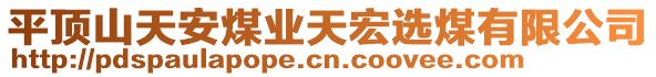 平頂山天安煤業(yè)天宏選煤有限公司