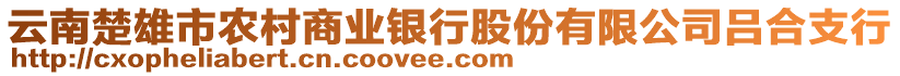 云南楚雄市农村商业银行股份有限公司吕合支行