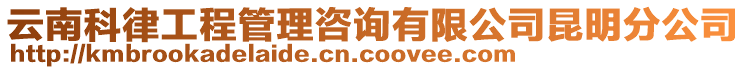 云南科律工程管理咨詢有限公司昆明分公司