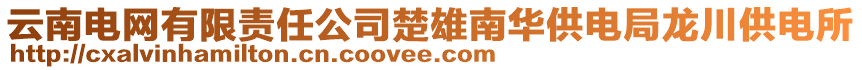 云南電網(wǎng)有限責(zé)任公司楚雄南華供電局龍川供電所