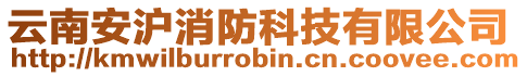 云南安滬消防科技有限公司