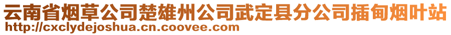 云南省煙草公司楚雄州公司武定縣分公司插甸煙葉站