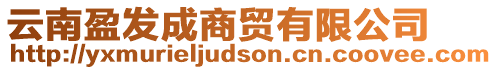 云南盈發(fā)成商貿(mào)有限公司