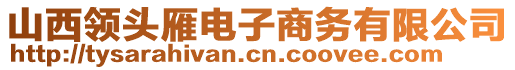 山西領(lǐng)頭雁電子商務(wù)有限公司