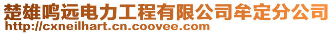 楚雄鳴遠電力工程有限公司牟定分公司