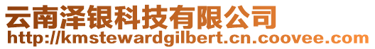 云南澤銀科技有限公司