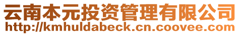 云南本元投資管理有限公司