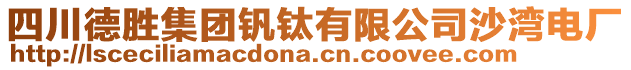 四川德勝集團(tuán)釩鈦有限公司沙灣電廠