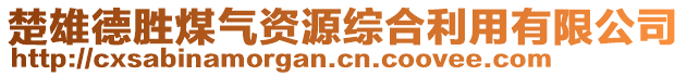 楚雄德勝煤氣資源綜合利用有限公司