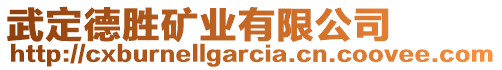 武定德勝礦業(yè)有限公司