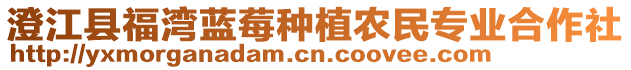 澄江縣福灣藍(lán)莓種植農(nóng)民專業(yè)合作社