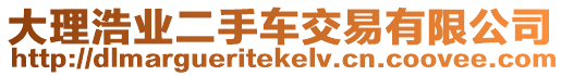 大理浩業(yè)二手車交易有限公司