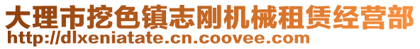 大理市挖色鎮(zhèn)志剛機械租賃經營部