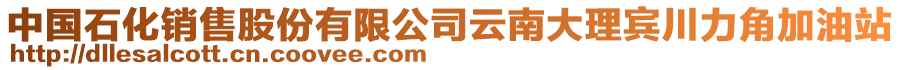 中國(guó)石化銷售股份有限公司云南大理賓川力角加油站