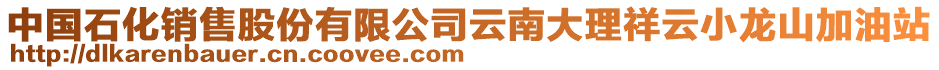 中國石化銷售股份有限公司云南大理祥云小龍山加油站