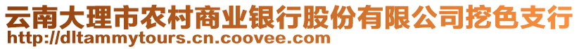 云南大理市農(nóng)村商業(yè)銀行股份有限公司挖色支行