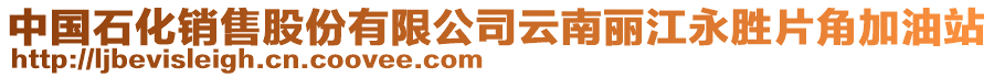 中國石化銷售股份有限公司云南麗江永勝片角加油站