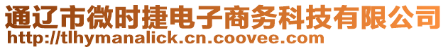 通遼市微時捷電子商務(wù)科技有限公司