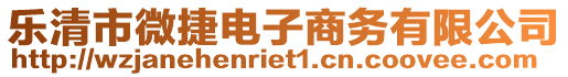 樂清市微捷電子商務(wù)有限公司