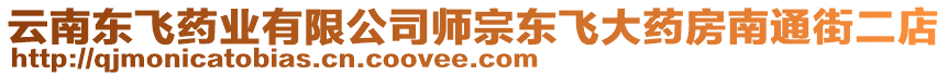 云南東飛藥業(yè)有限公司師宗東飛大藥房南通街二店