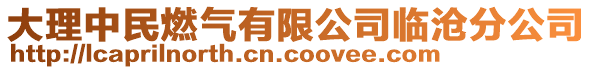 大理中民燃?xì)庥邢薰九R滄分公司