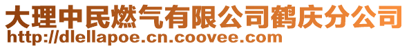 大理中民燃?xì)庥邢薰菌Q慶分公司