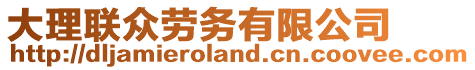 大理聯(lián)眾勞務(wù)有限公司