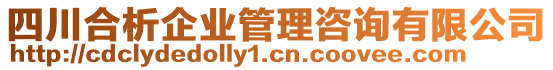 四川合析企業(yè)管理咨詢有限公司