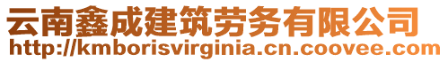 云南鑫成建筑勞務(wù)有限公司